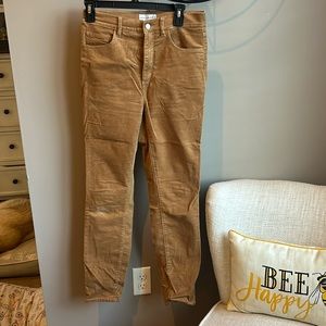 Ann Loft corduroy, tan pants